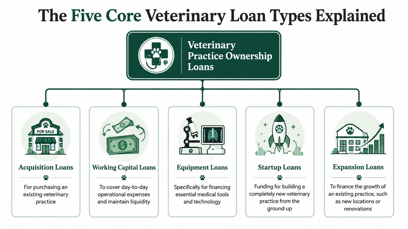 An infographic showing the five core types of veterinary practice ownership loans including acquisition, working capital, equipment, startup, and expansion.