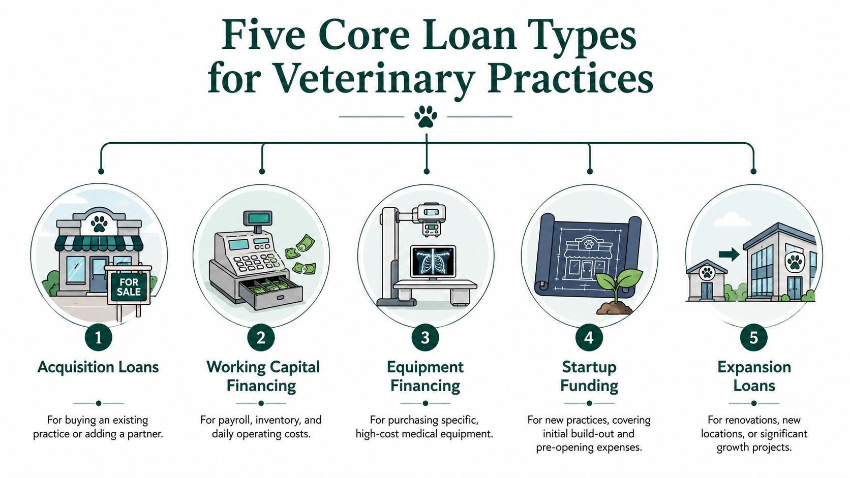 An infographic showing five core types of loans available for veterinary practice owners and business development.