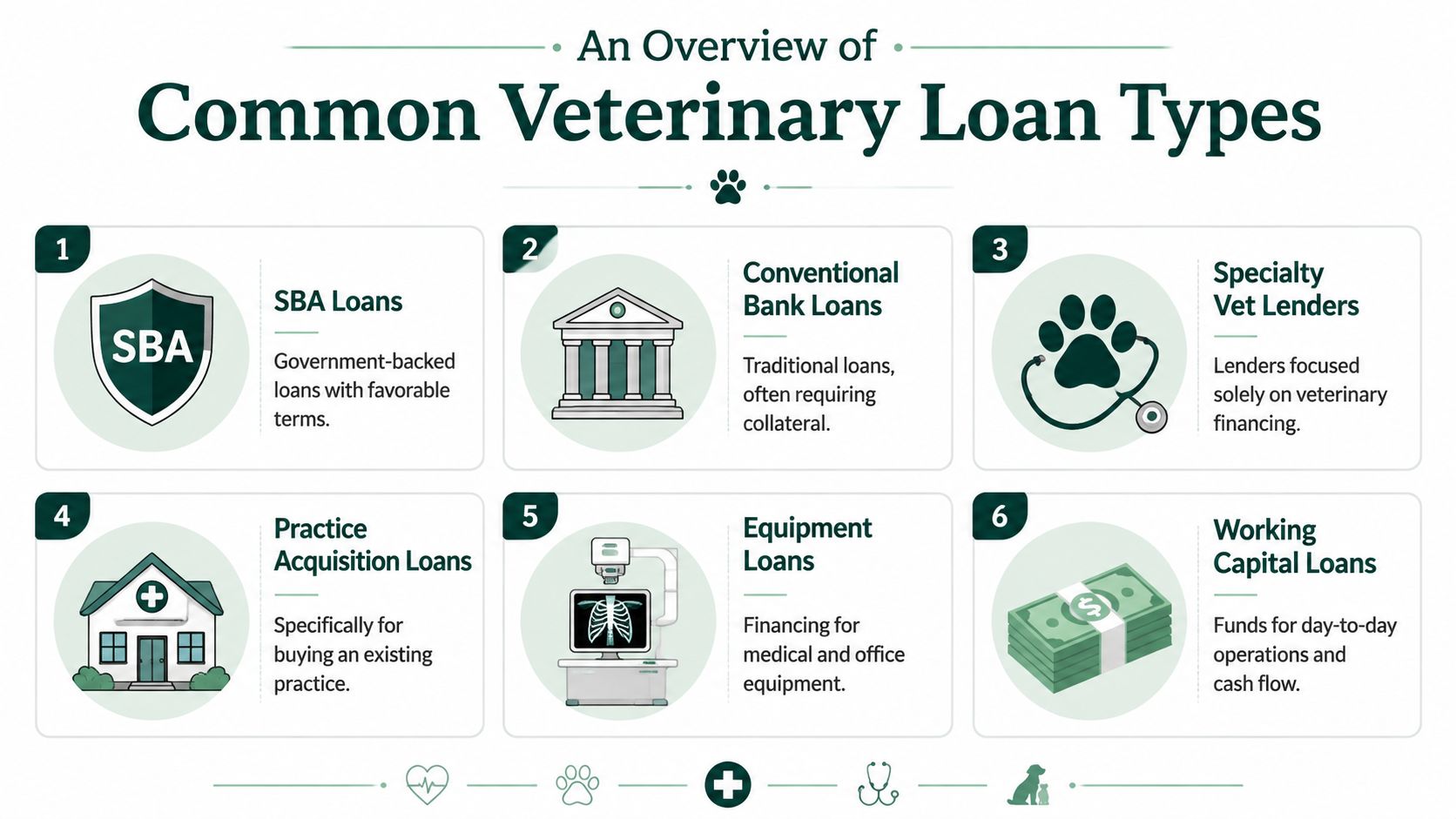 An infographic showing six common types of loans available for veterinary practice owners and businesses.