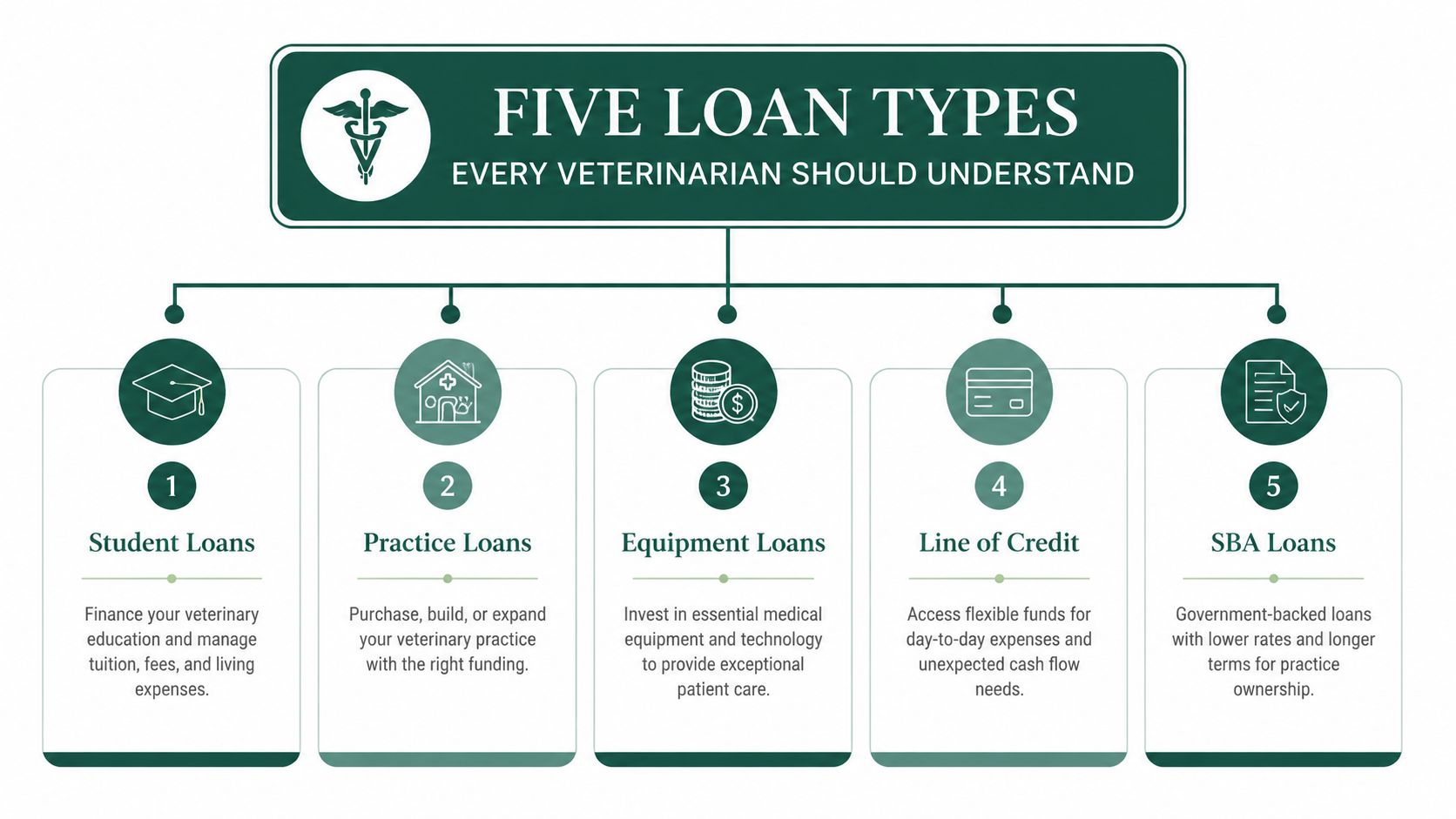 A professional infographic titled Five Loan Types Every Veterinarian Should Understand outlining financing options for veterinary practices.