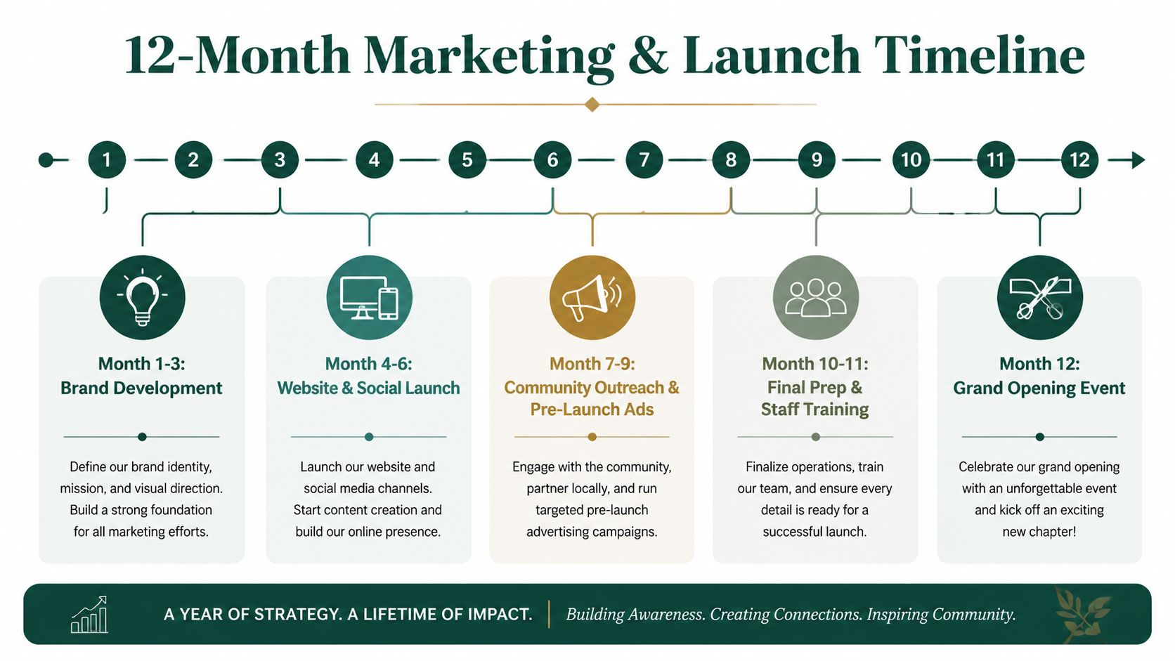 An infographic showing a twelve month marketing and launch timeline for a new veterinary business venture.