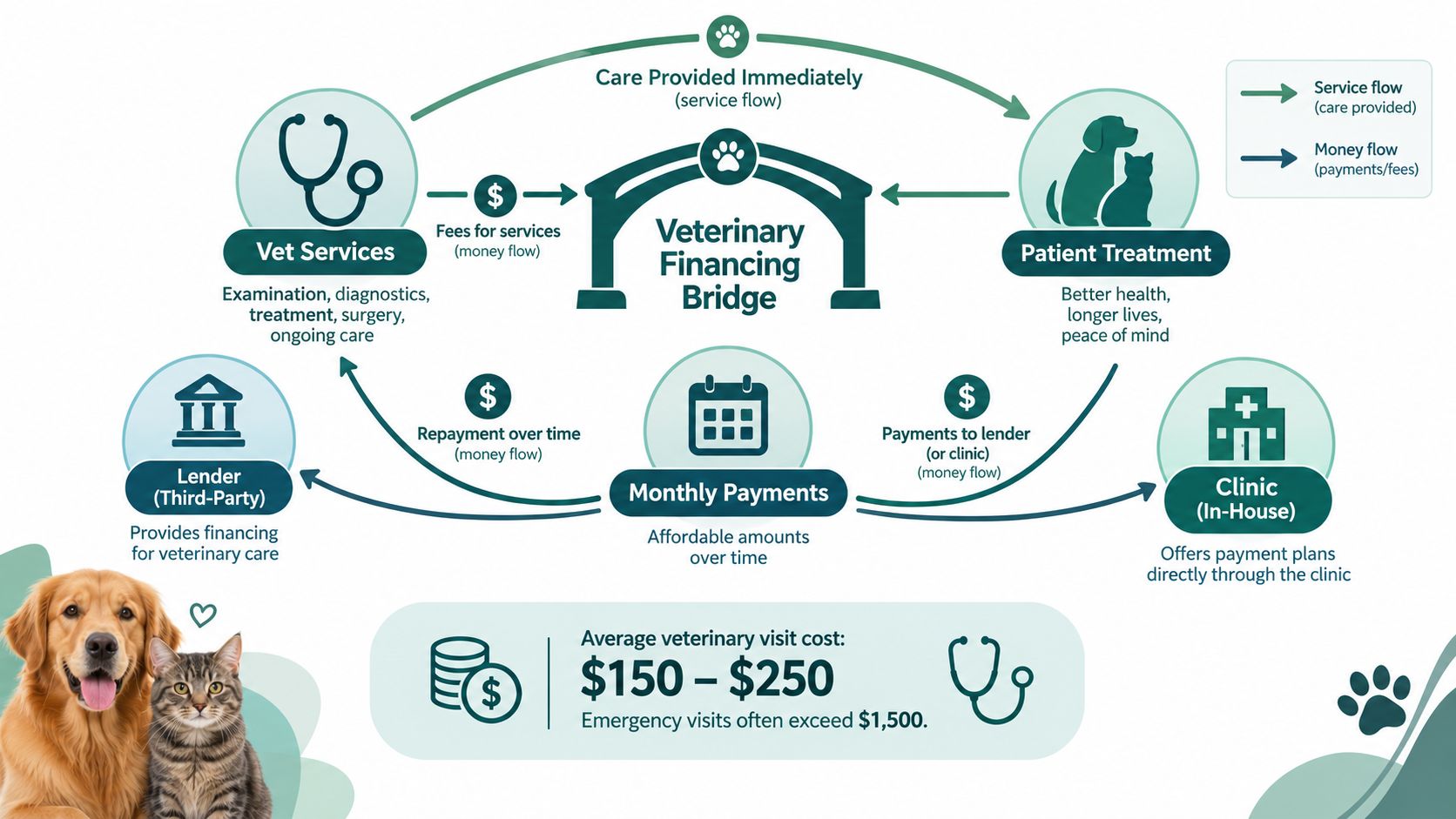 A diagram illustrating how veterinary financing bridges the gap between costly vet services and patient treatment outcomes.