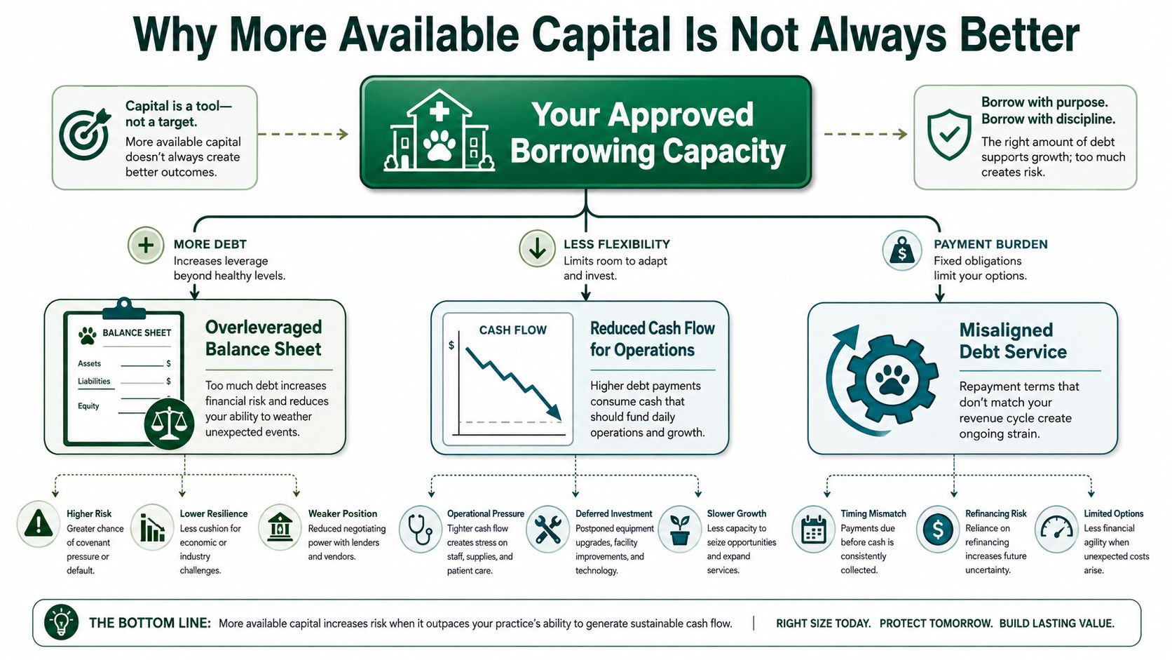 A diagram explaining why excessive borrowing capacity can negatively impact the financial health of veterinary practices.